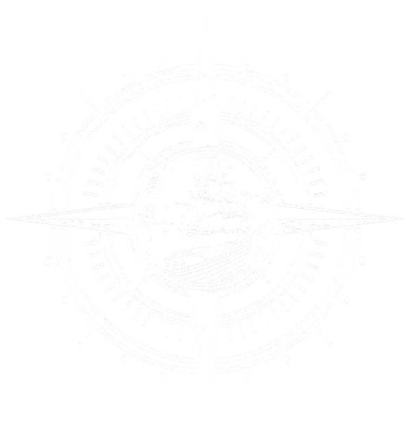 Voyage Financial compass logo